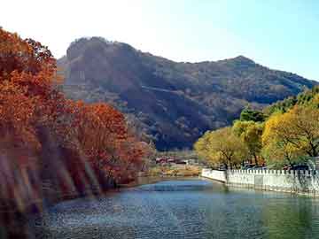 新澳门免费精准大全，天津排水板